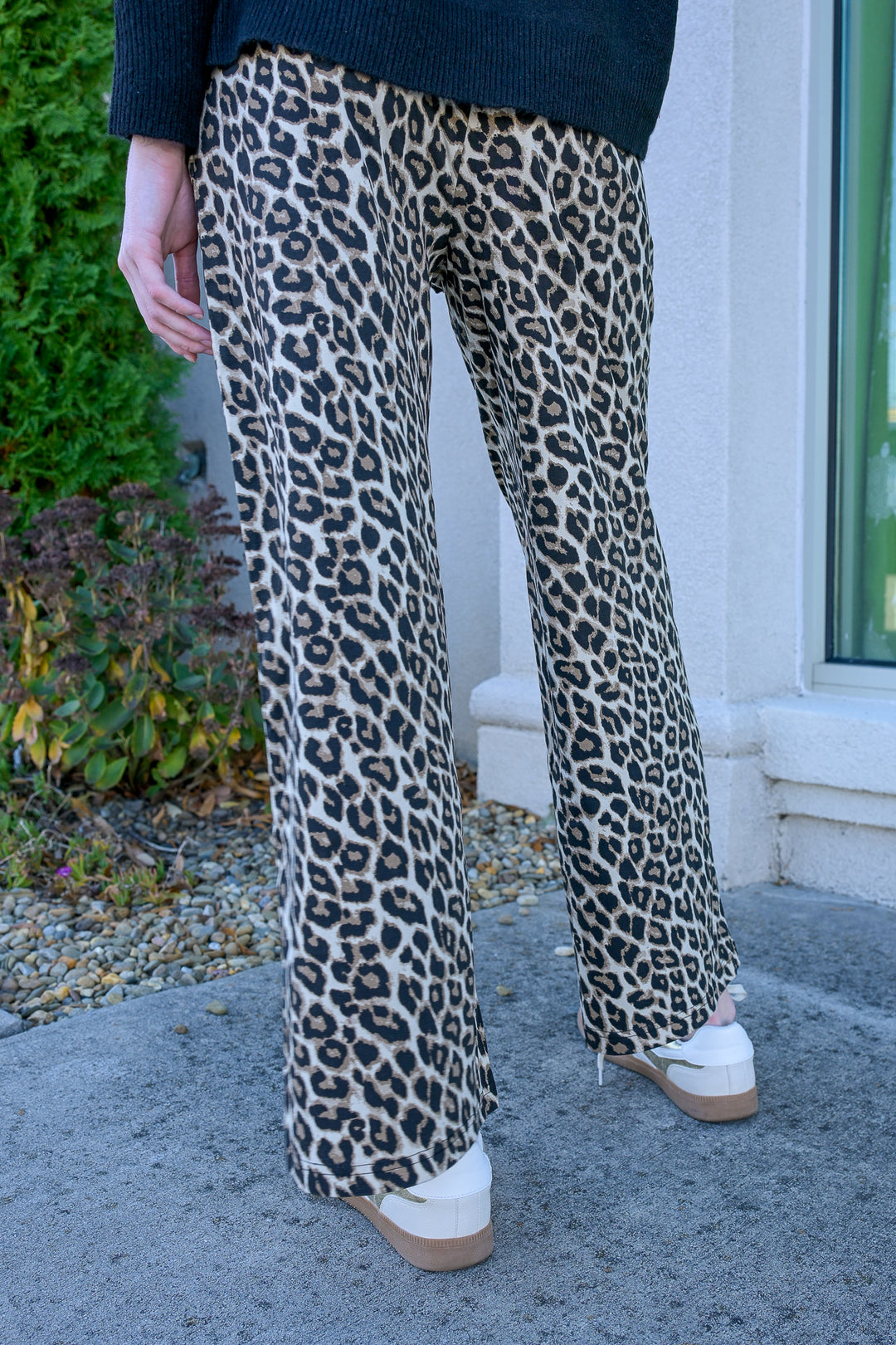 Wild Whisper Wide Leg Pants