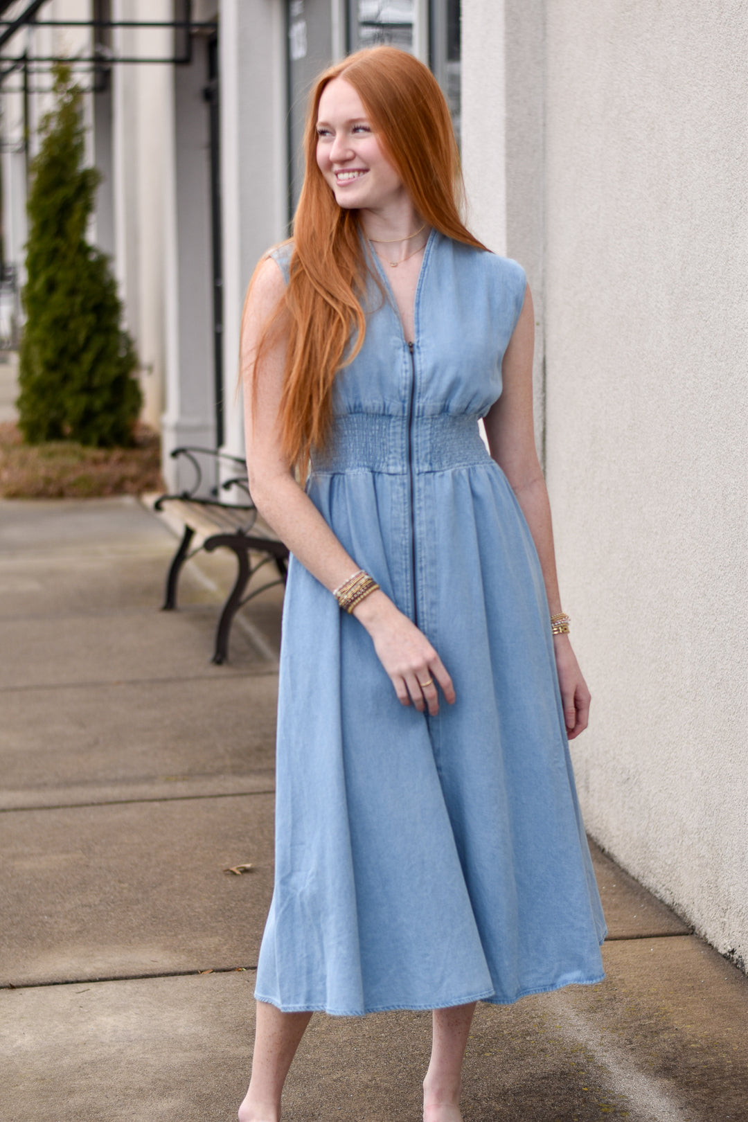 Marisol Denim Dress