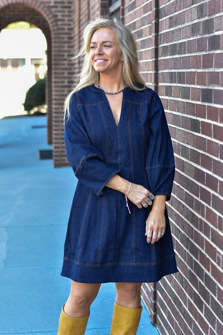 THML Denim Dream Dress