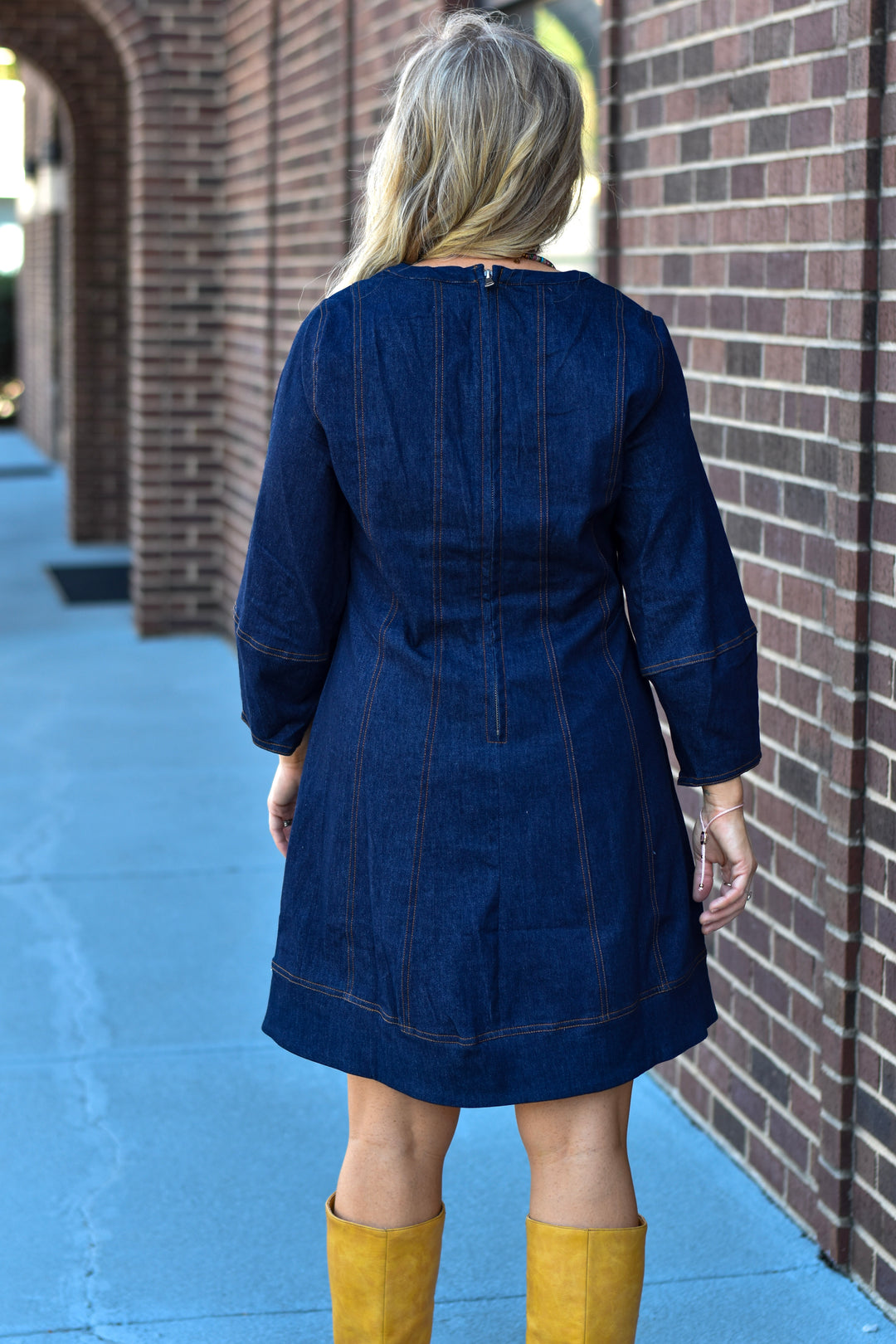 THML Denim Dream Dress