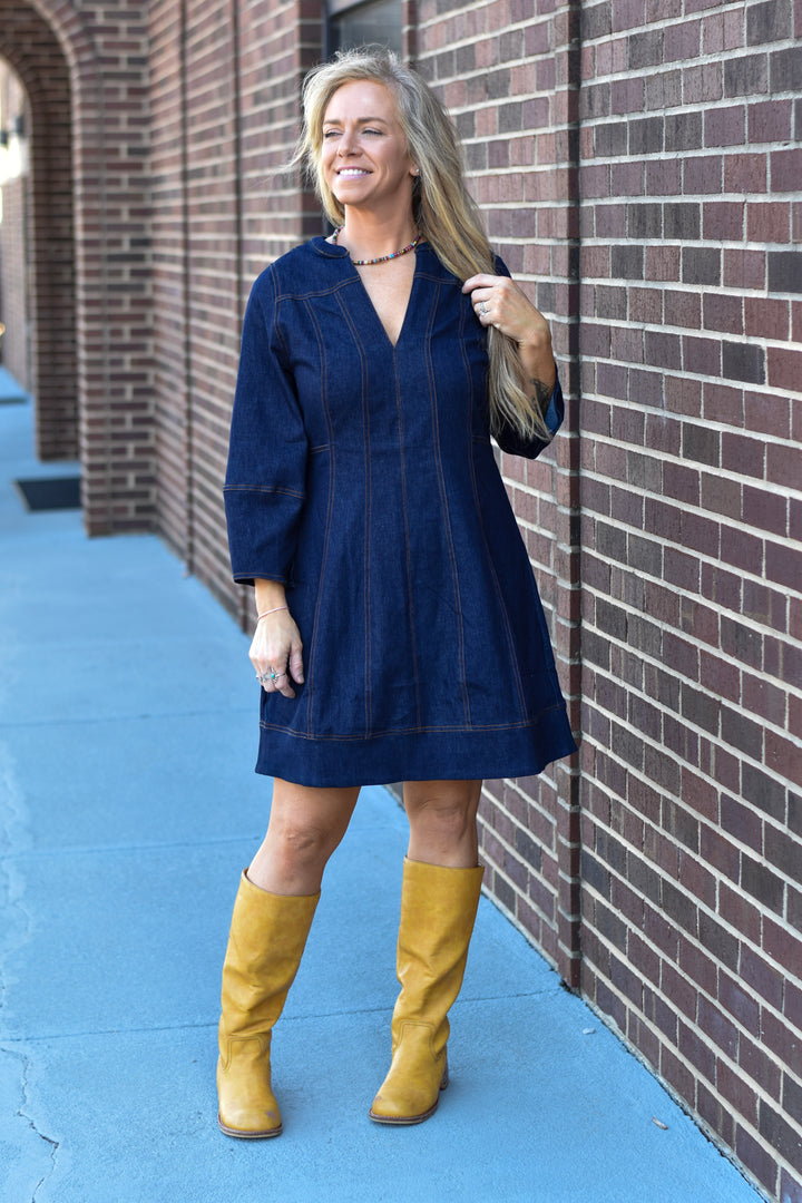 THML Denim Dream Dress