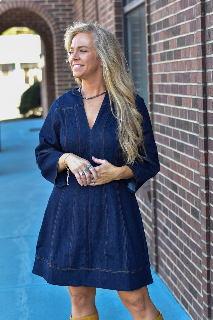 THML Denim Dream Dress