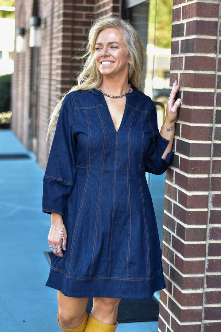 THML Denim Dream Dress