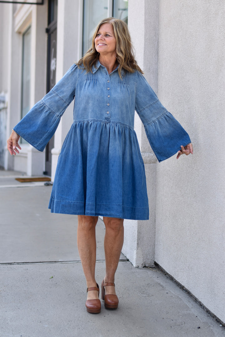 Rockin' Around Denim Dress
