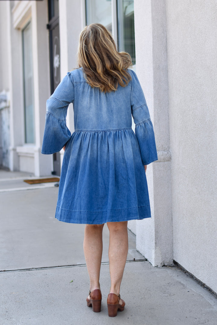 Rockin' Around Denim Dress